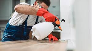 Best Pest Control for Hotels  in Springville, UT